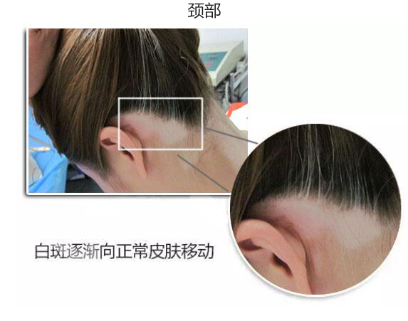 【感恩教师节】北京知名专家坐诊宁波